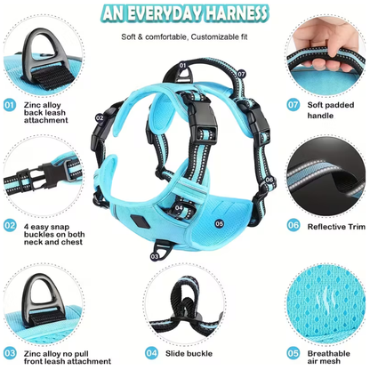 PawStride™ No-Pull Dog Harness with Leash — Calm, Controlled Walks