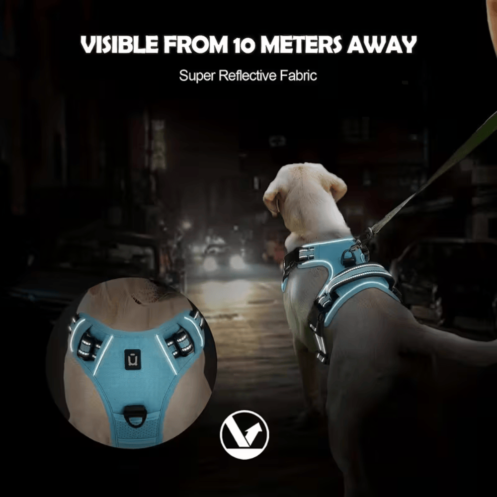 PawStride™ No-Pull Dog Harness with Leash — Calm, Controlled Walks