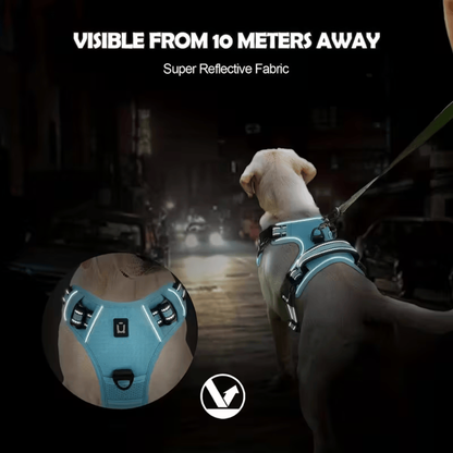 PawStride™ No-Pull Dog Harness with Leash — Calm, Controlled Walks