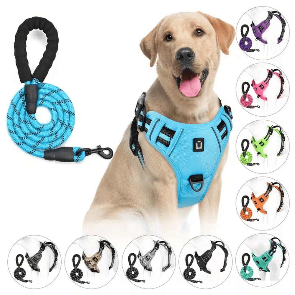 PawStride™ No-Pull Dog Harness with Leash — Calm, Controlled Walks
