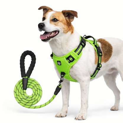 PawStride™ No-Pull Dog Harness with Leash — Calm, Controlled Walks