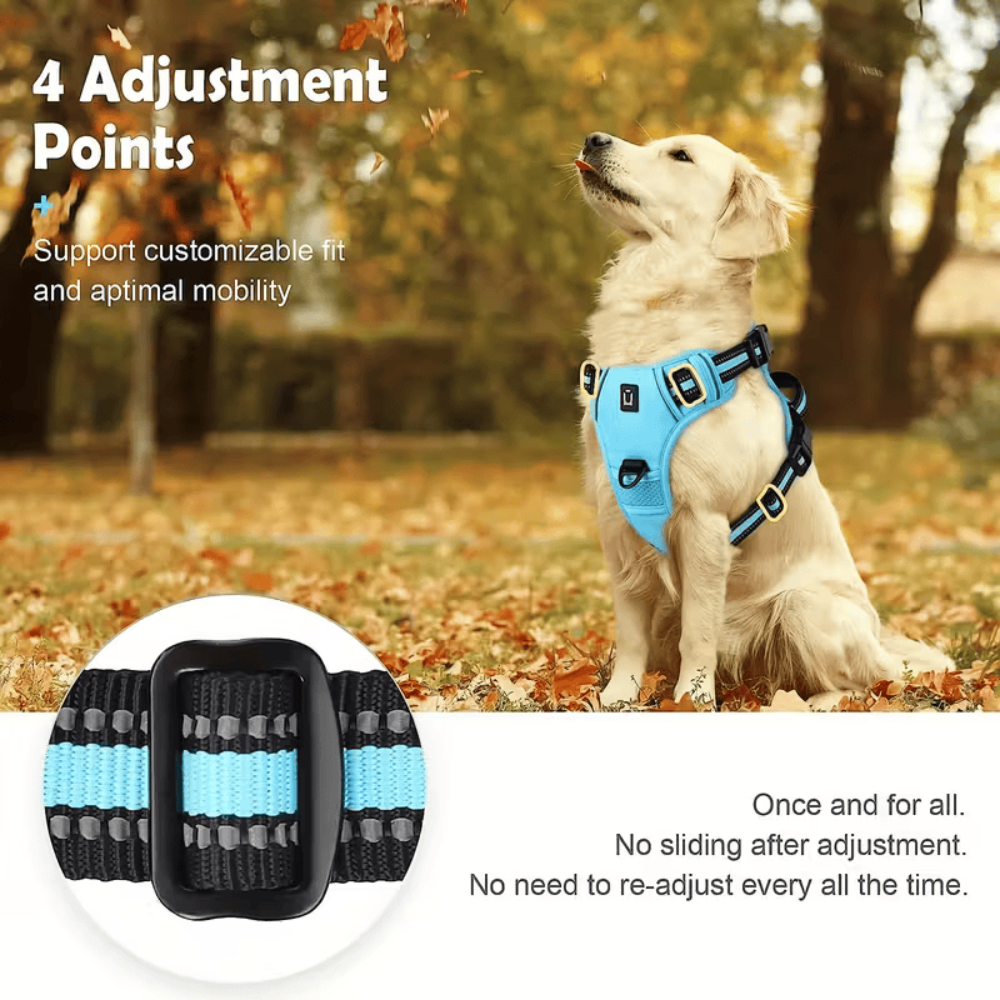 PawStride™ No-Pull Dog Harness with Leash — Calm, Controlled Walks