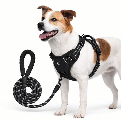 PawStride™ No-Pull Dog Harness with Leash — Calm, Controlled Walks