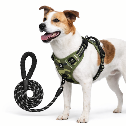 PawStride™ No-Pull Dog Harness with Leash — Calm, Controlled Walks