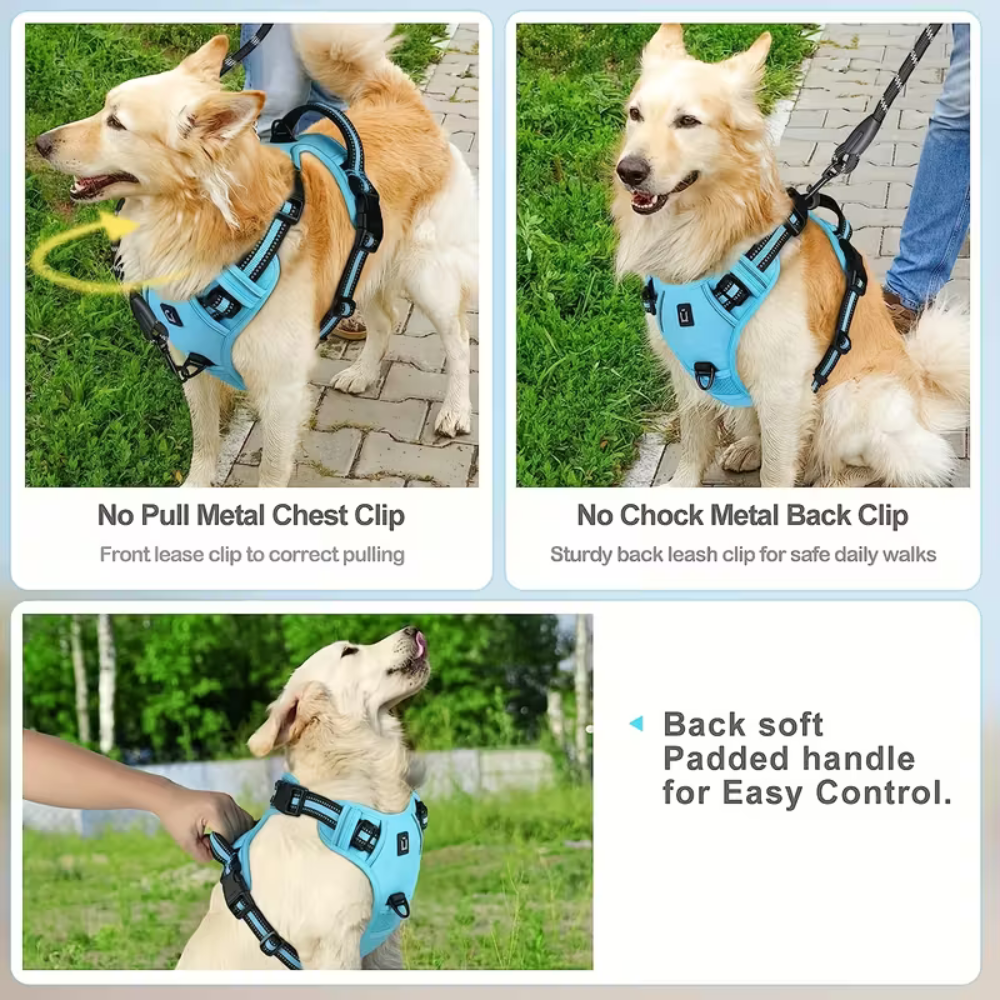 PawStride™ No-Pull Dog Harness with Leash — Calm, Controlled Walks