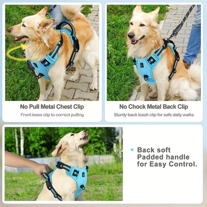 PawStride™ No-Pull Dog Harness with Leash — Calm, Controlled Walks